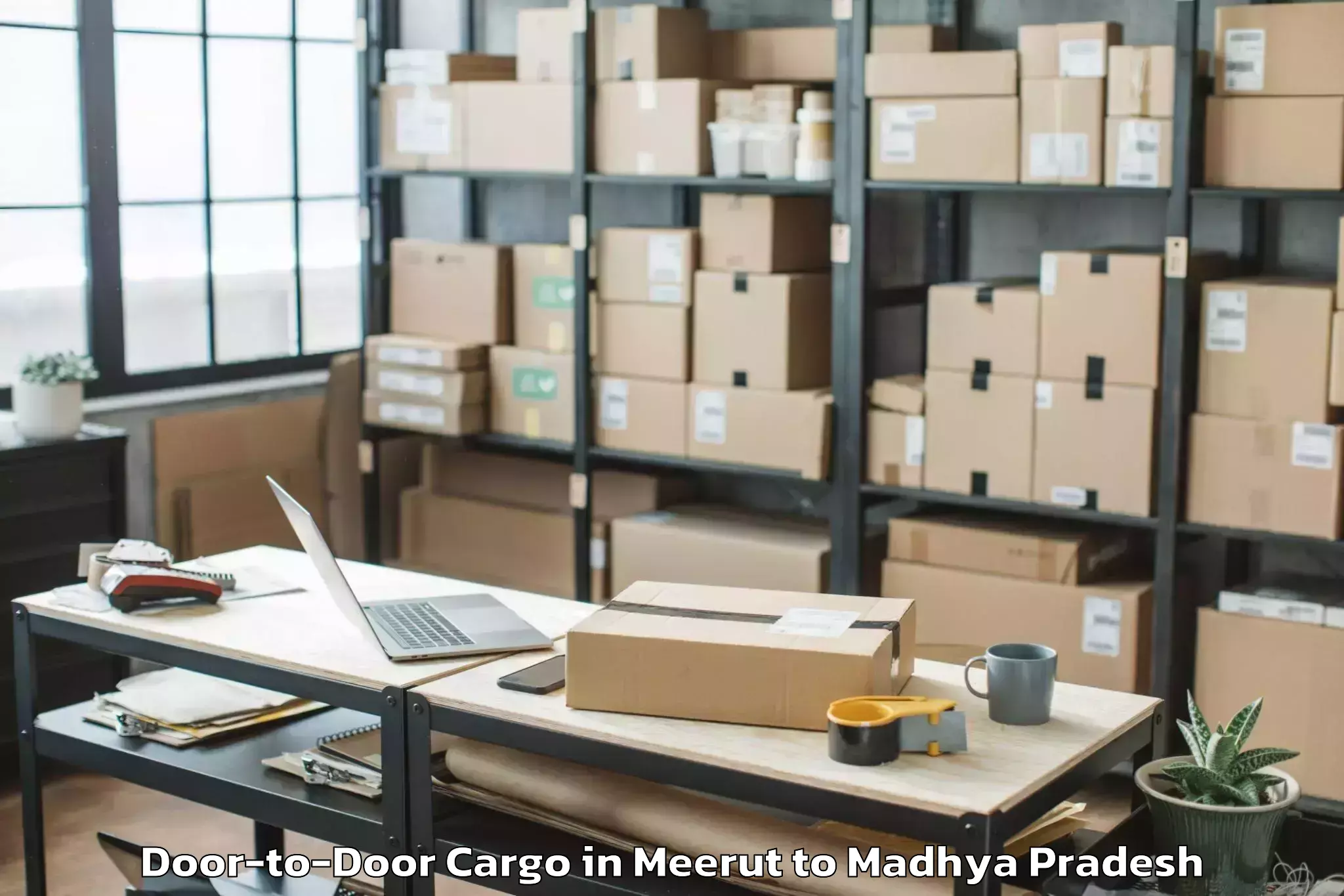 Quality Meerut to Nalkheda Door To Door Cargo